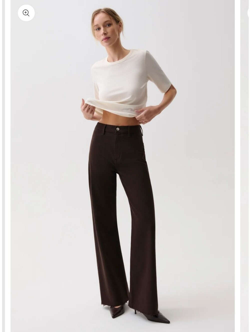 Anthropologie Pistola Penny Dark Brown High-Rise Wide Leg Jeans